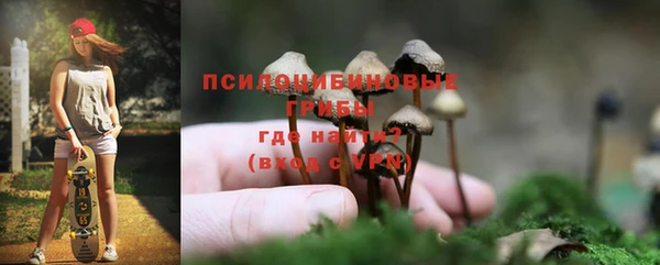 мет Пестово