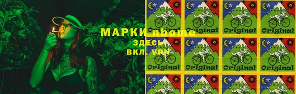 spice Пересвет