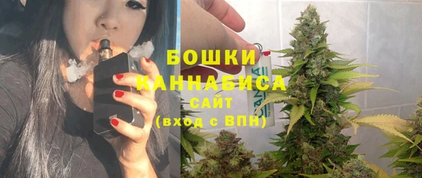 spice Пересвет